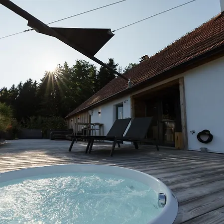 Weidehaus De Luxe * Obertriesting